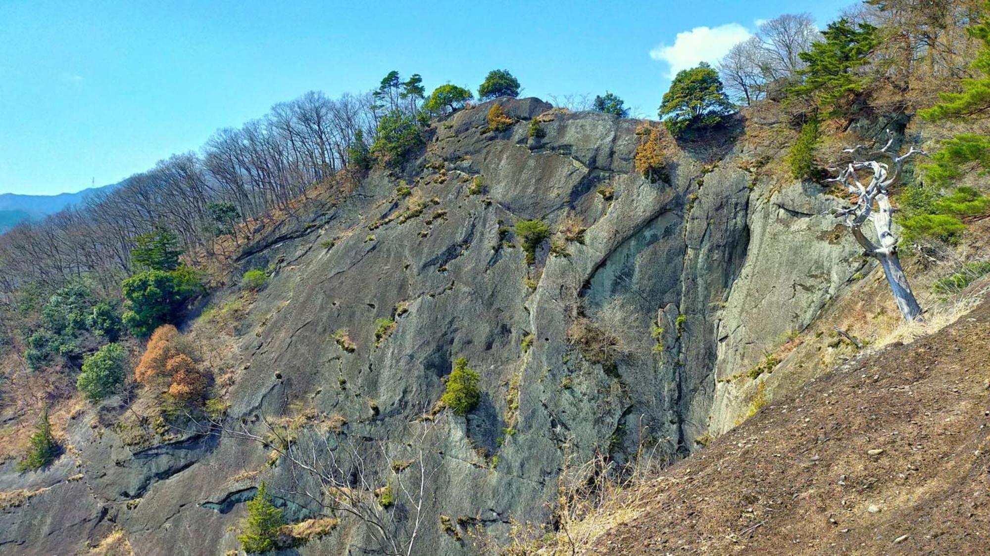 Toyoko Inn Fujisan Otsuki-Eki Otsuki  Eksteriør bilde